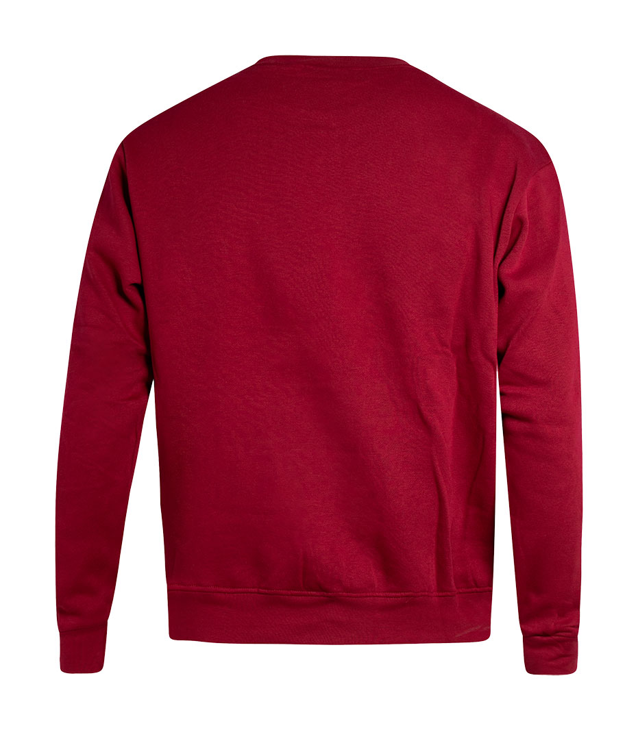 SUDADERA FELPA CUELLO REDONDO ADULTO - Imagen 2