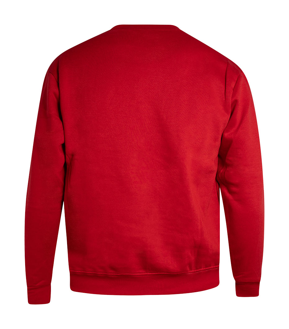 SUDADERA FELPA CUELLO REDONDO NIÑO - Imagen 5